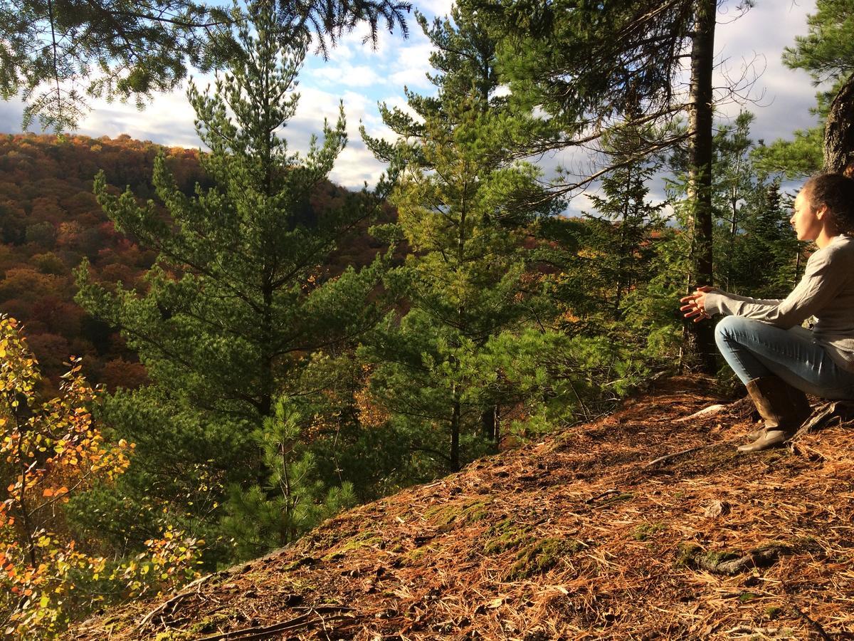 Les Cabines Nordik Des Piles Villa Saint-Jean-des Piles Dış mekan fotoğraf