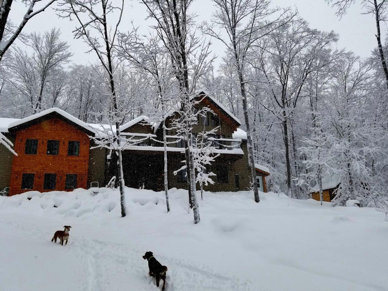 Les Cabines Nordik Des Piles Villa Saint-Jean-des Piles Dış mekan fotoğraf