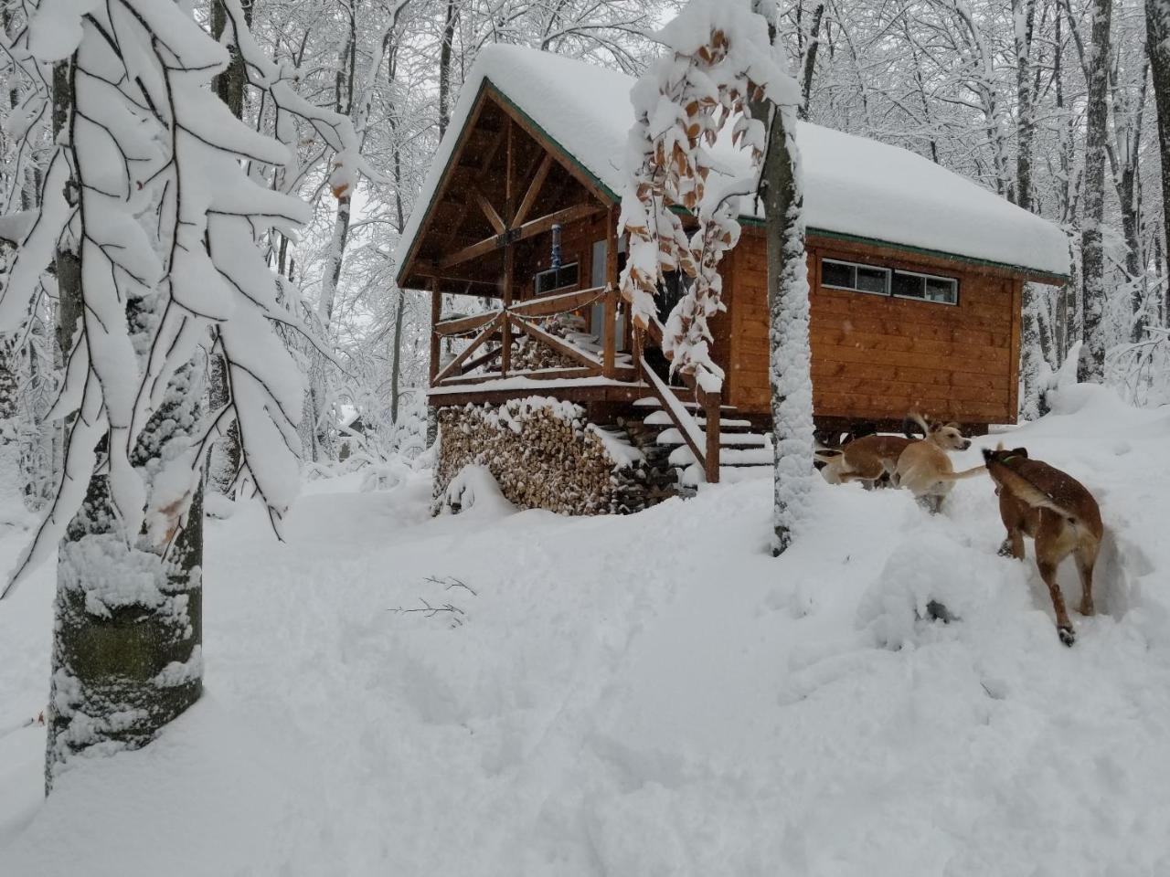 Les Cabines Nordik Des Piles Villa Saint-Jean-des Piles Dış mekan fotoğraf