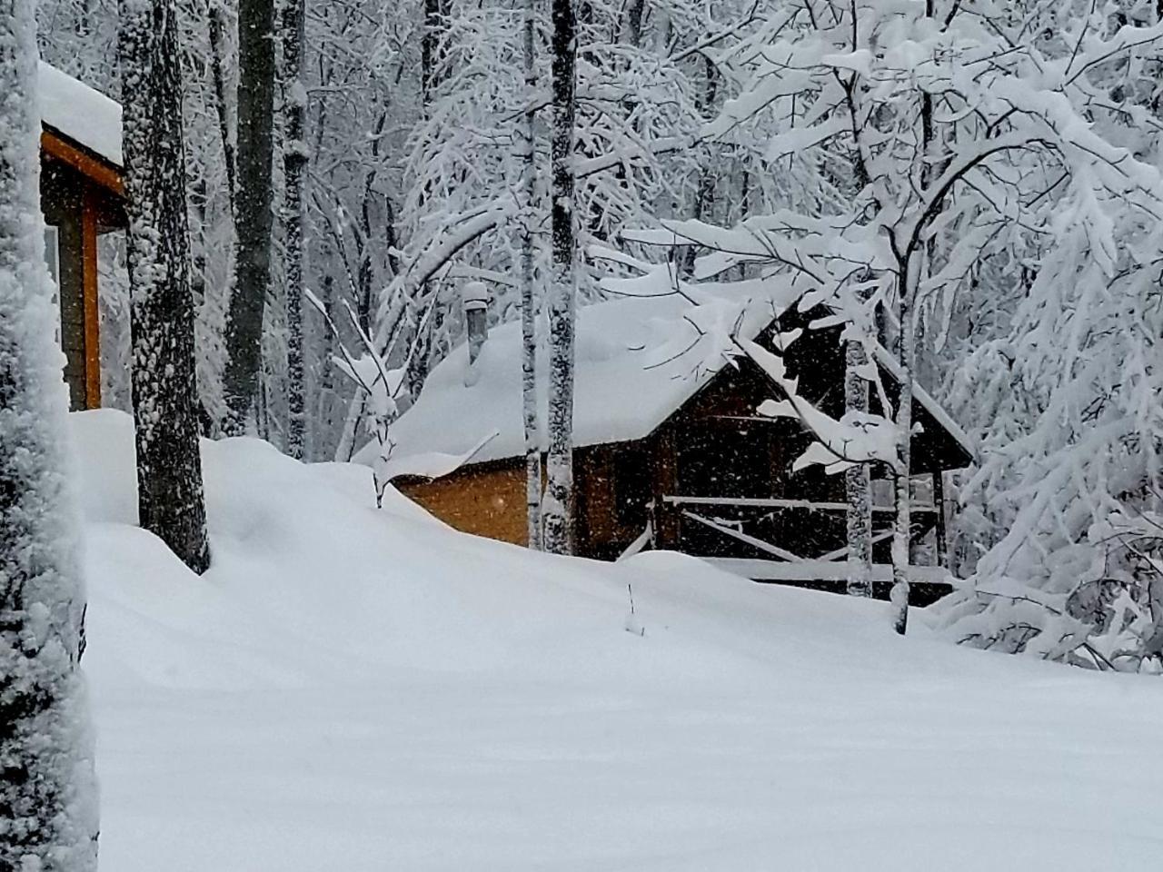Les Cabines Nordik Des Piles Villa Saint-Jean-des Piles Dış mekan fotoğraf