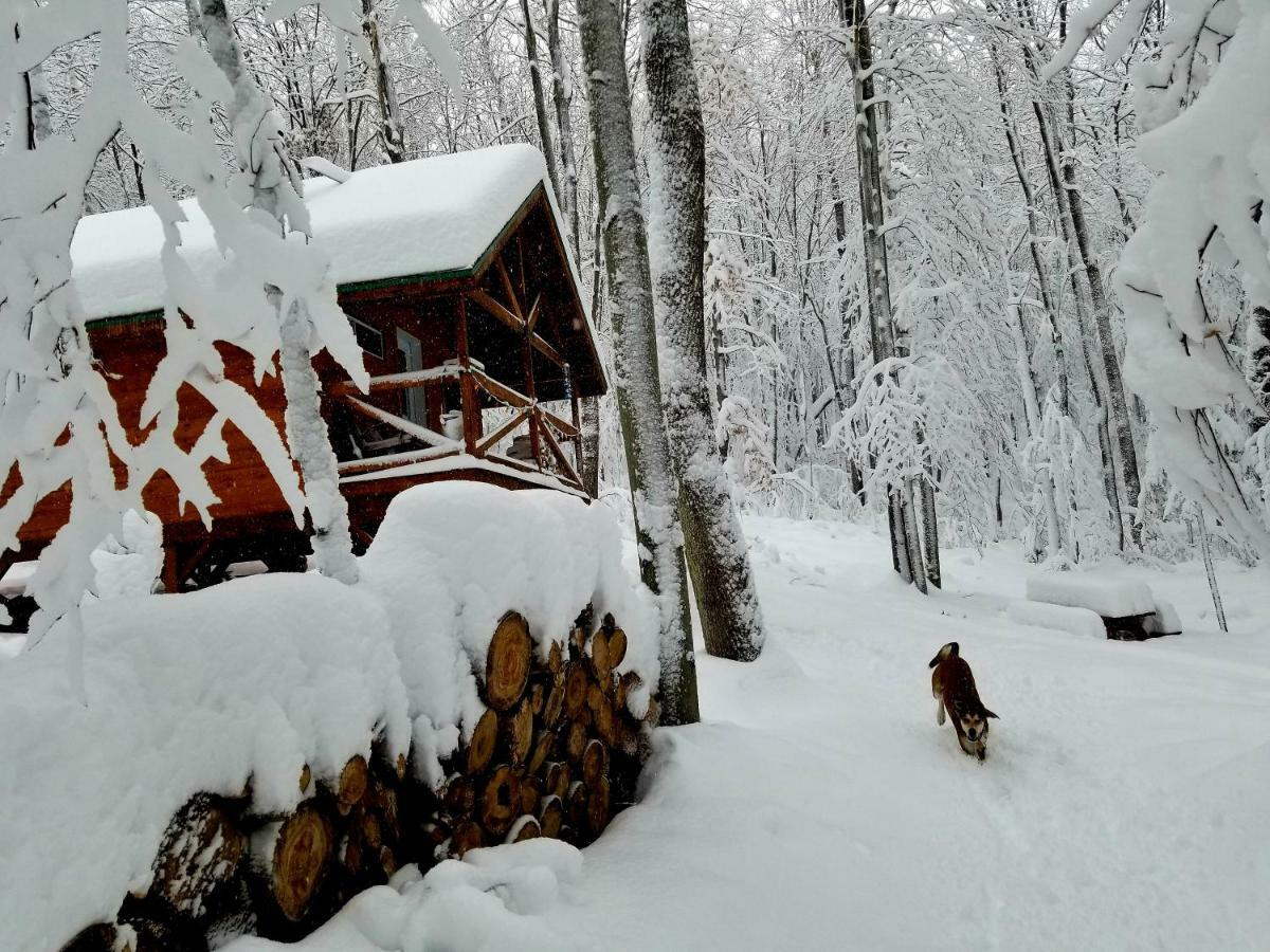 Les Cabines Nordik Des Piles Villa Saint-Jean-des Piles Dış mekan fotoğraf